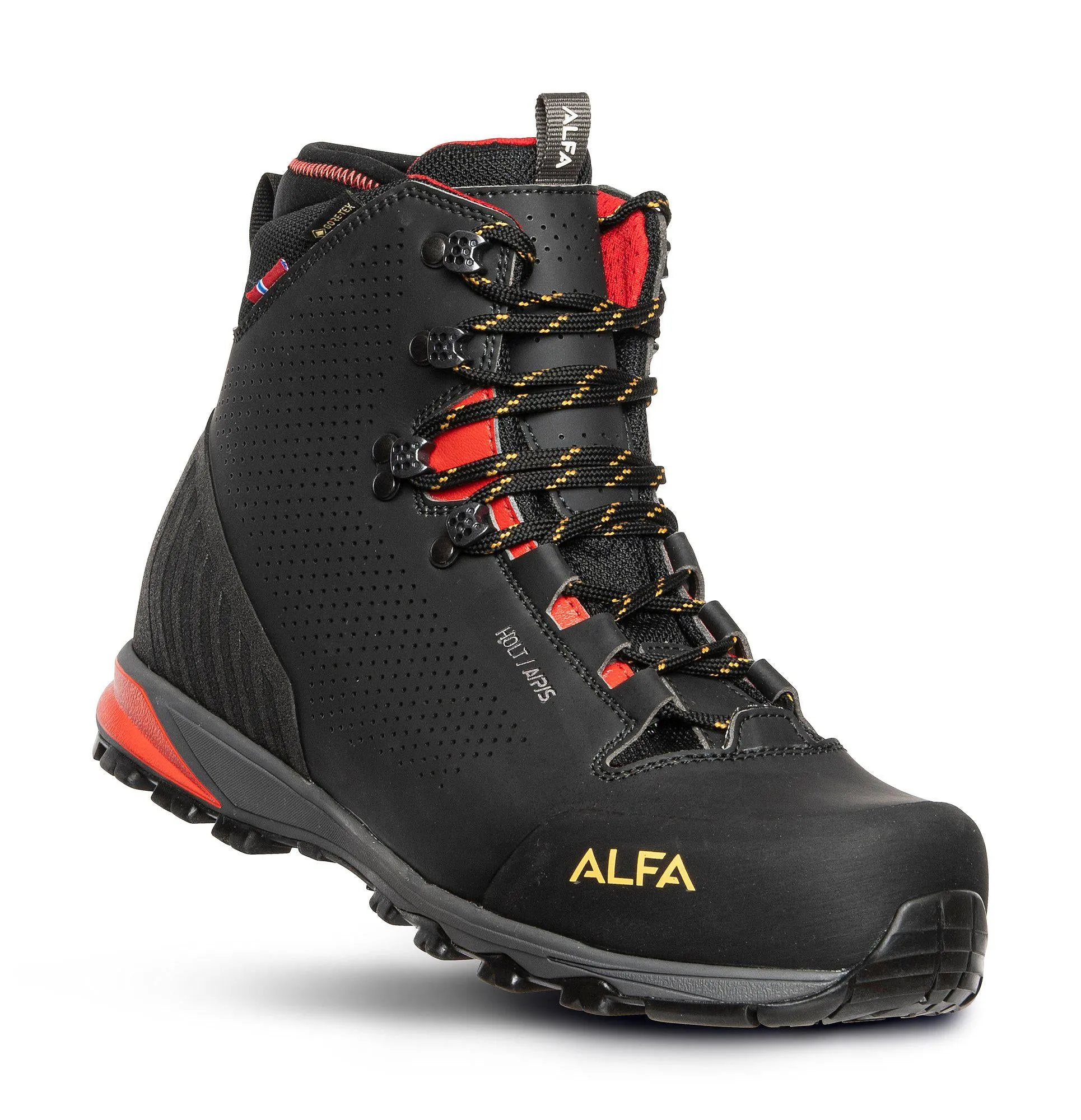 Holt A/P/S GTX M - Trekking boot men - BLACK